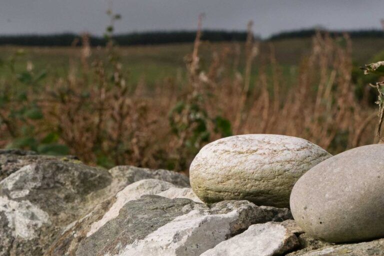 Port Charlotte Holidays Self Catering Islay Port Charlotte Holidays Self Catering Islay