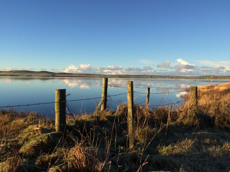 Peedie Harray's Orkney Peedie Harray's Orkney