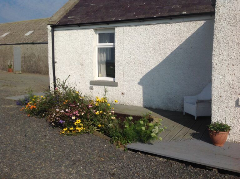 Peedie Harray's Orkney Peedie Harray's Orkney